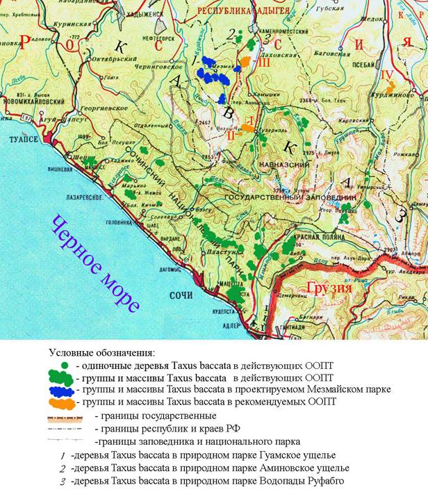 Гуамское ущелье карта схема